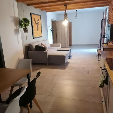 Apartament Jelen Apartment Złotów Exterior foto