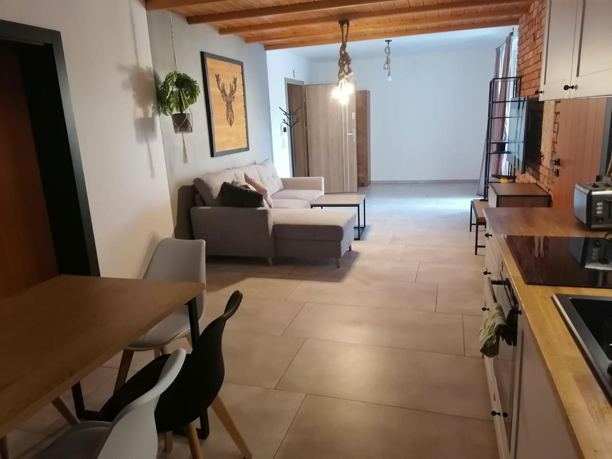 Apartament Jelen Apartment Złotów Exterior foto